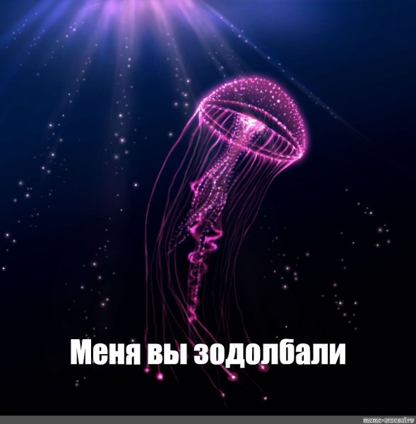 Медуза медуза Мем