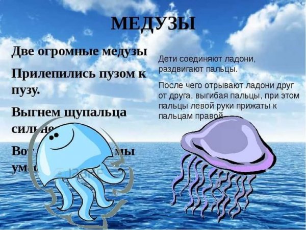 Эренна медуза