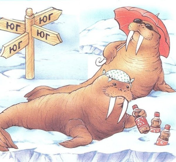 Морж карикатура