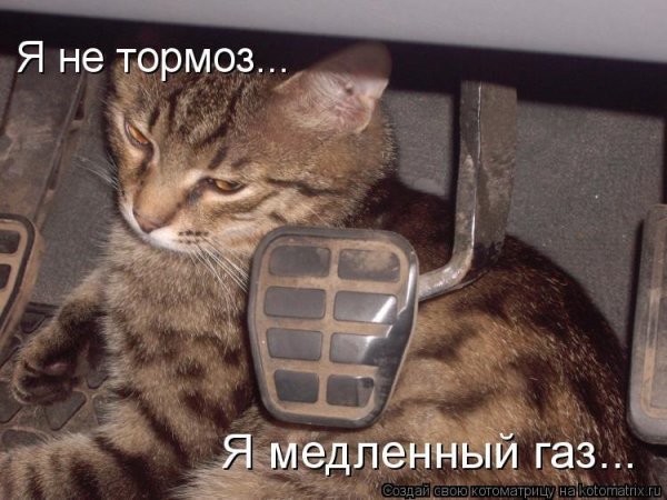 Тормоз Мем