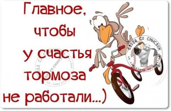 Главное чтобы у счастья тормоза не работали