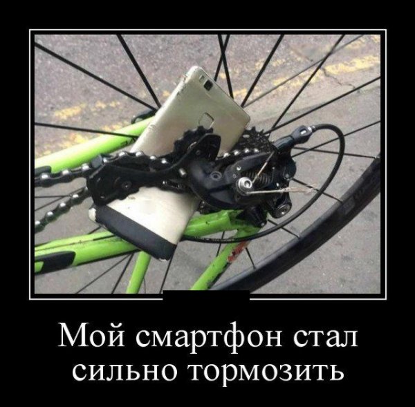 Самые смешные демотиваторы в мире