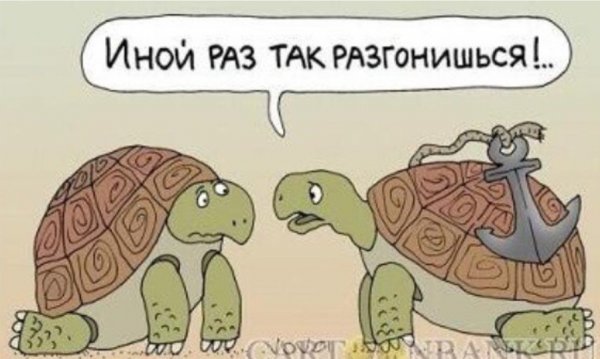Анекдот про черепаху