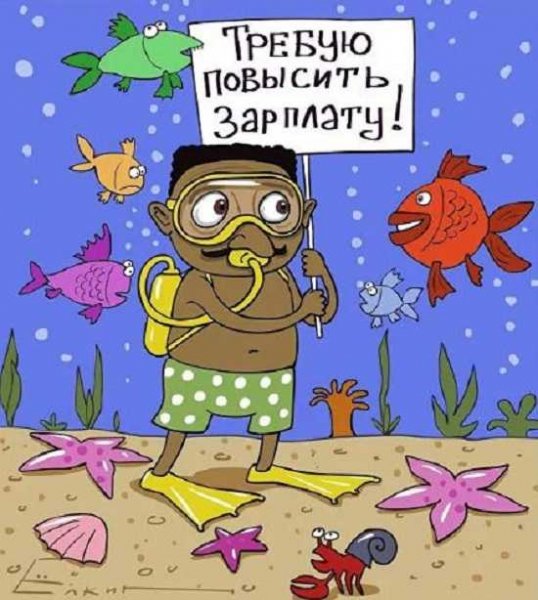 С днем водолаза прикол