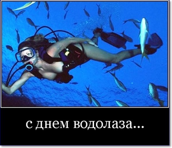 День водолаза