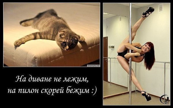 Танцы на пилоне ожидание реальность
