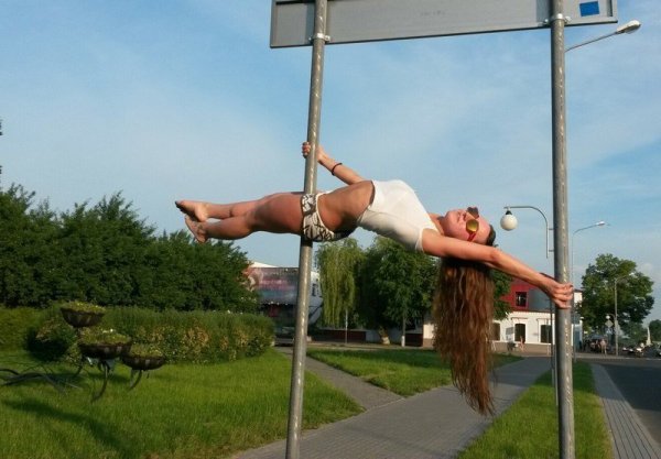Собака Танцующая на шесте