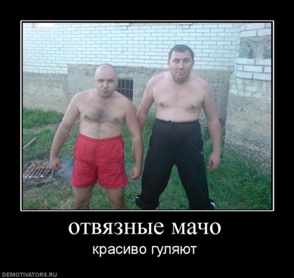 Мачо демотиваторы