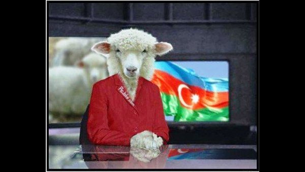 Алиев баран