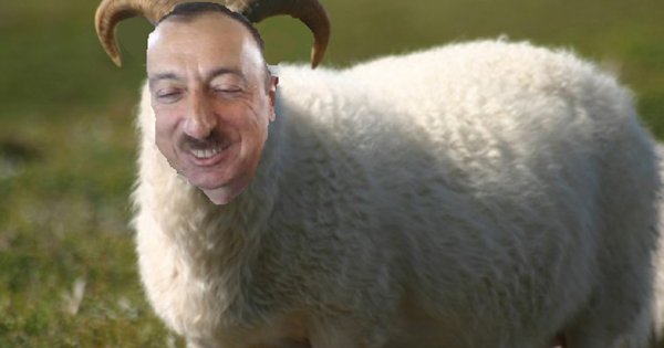 Ильхам Алиев баран