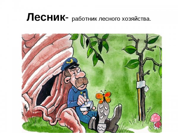 Открытки с днём эколога с юмором