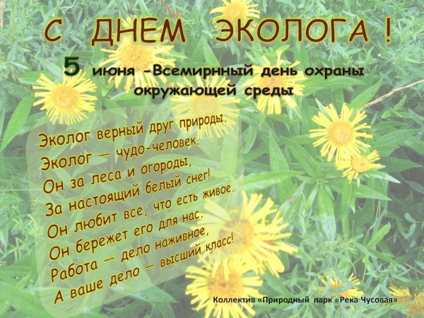 Экология юмор