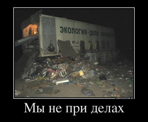 Шутки про деревья