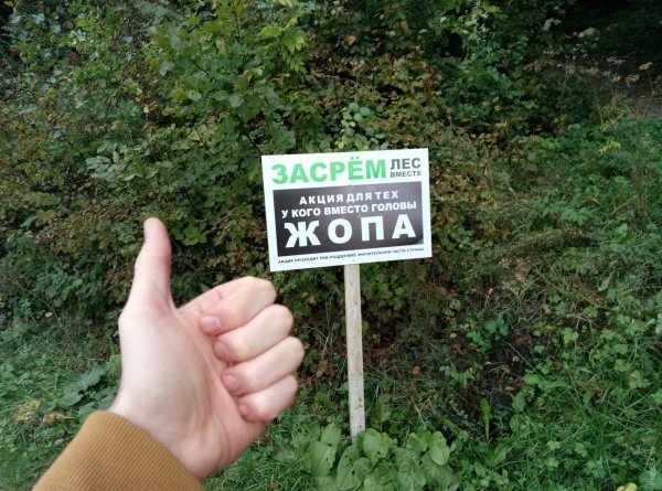 Экология смешно