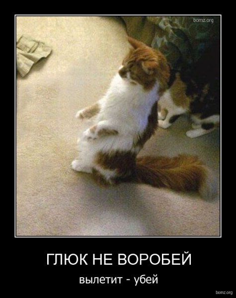 Глюки картинки смешные