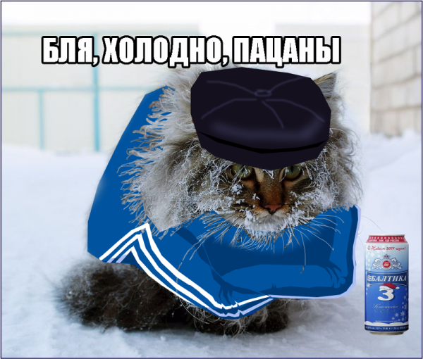 Смешные приколы про холод