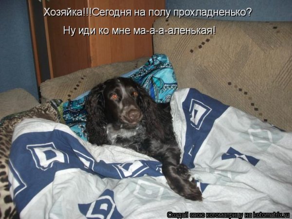 Ну иди ко мне