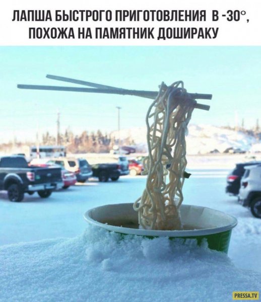 Смешной олень