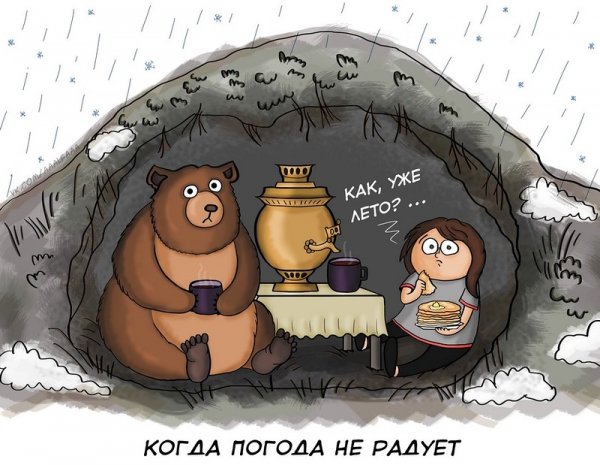 Кошачий холодильник