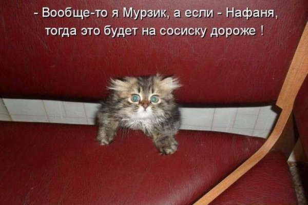 Веселые картинки с комментариями