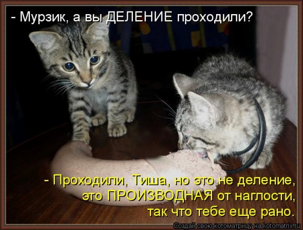 Приколы от Мурзика