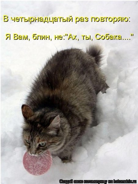 Два кусочека колбаски у тебя лежали