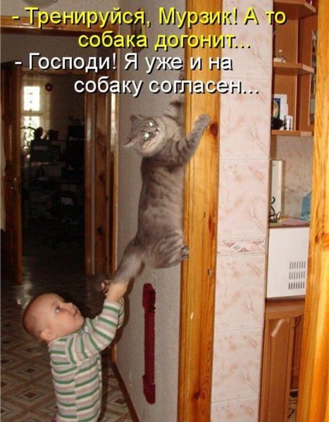 Смешные рисунки животных с надписями
