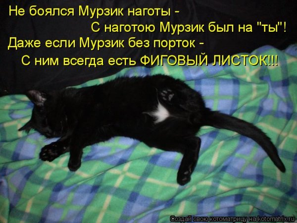 Кто такой Мурзик