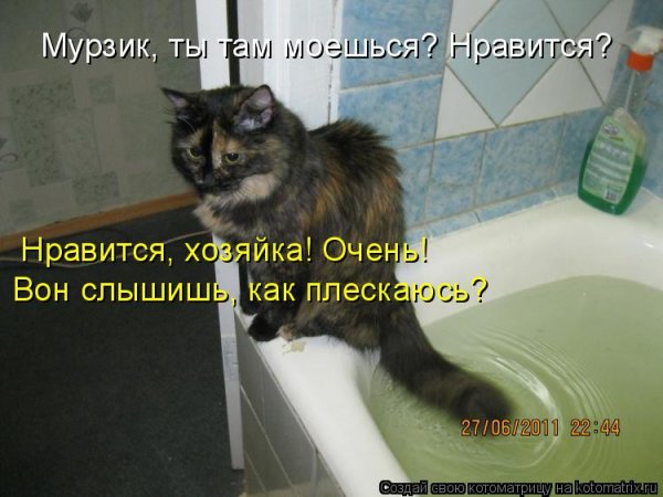 Котоматрица- купание кота