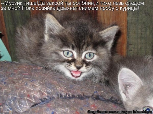 Да тихо ты