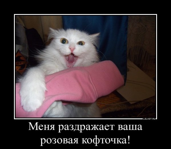 Ваша розовая кофточка Киркоров