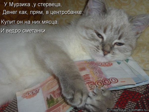 Мурзику поздравления