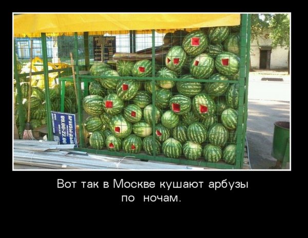 Шутки про Арбуз