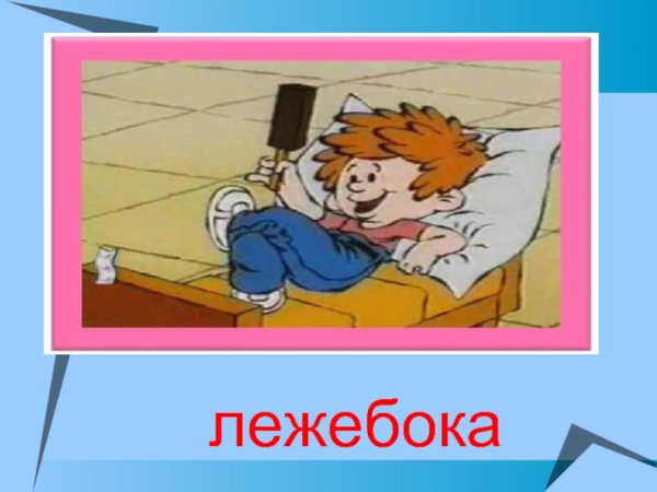 Лежебока картинки
