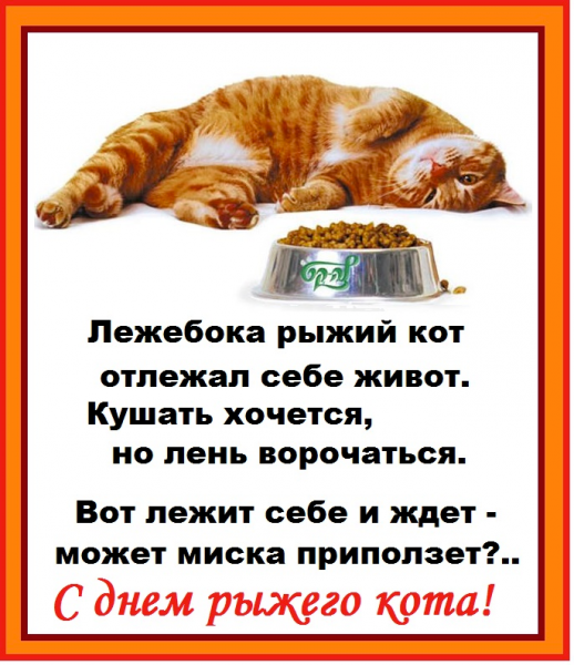 Лежебока рыжий кот
