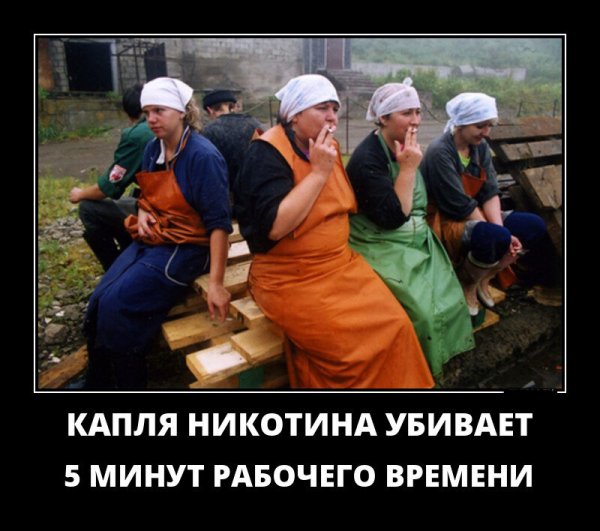 Рабочие шутки