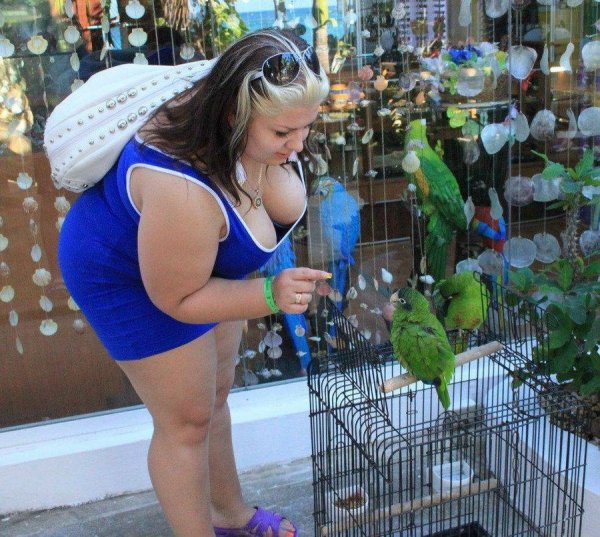 Прикольные бабы