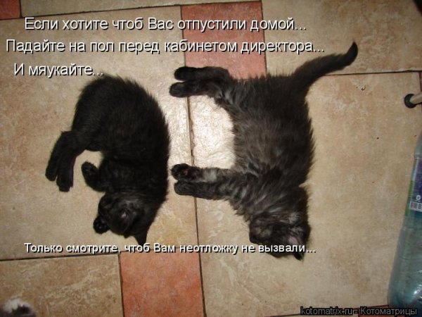 Пятница хочу домой