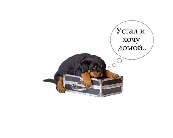 Я устала хочу домой
