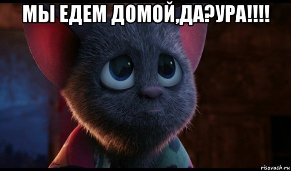 Поехали домой