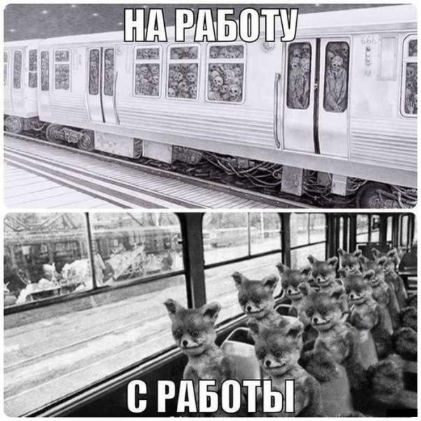 Еду на работу картинки смешные
