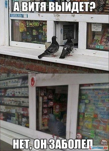 Приколы про Витю