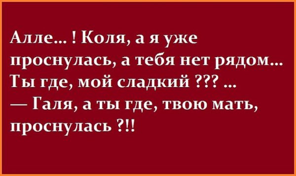 Смешные шутки про Галину