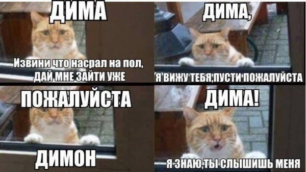 Смешные фразы про Диму