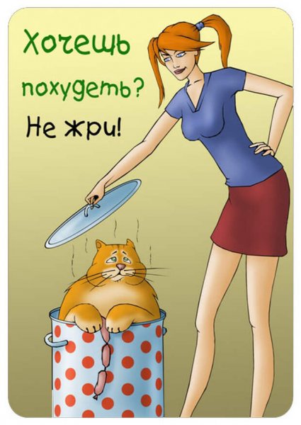 Приколы про худеющих