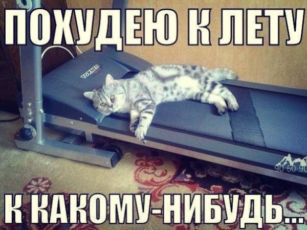 Шутки про похудение к лету