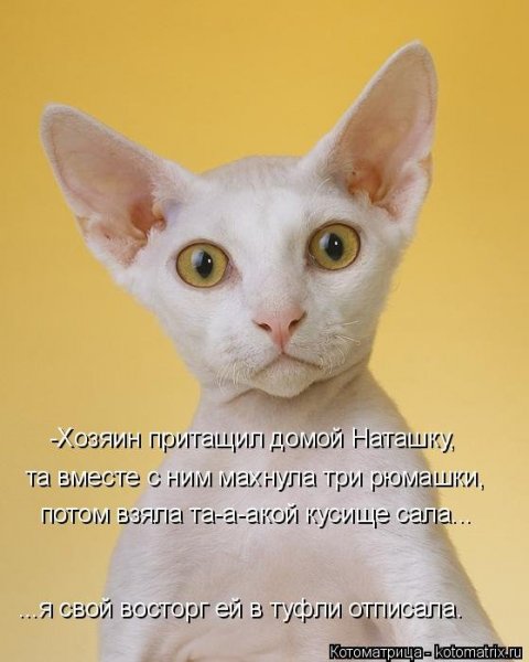 Смешные шутки про наташку