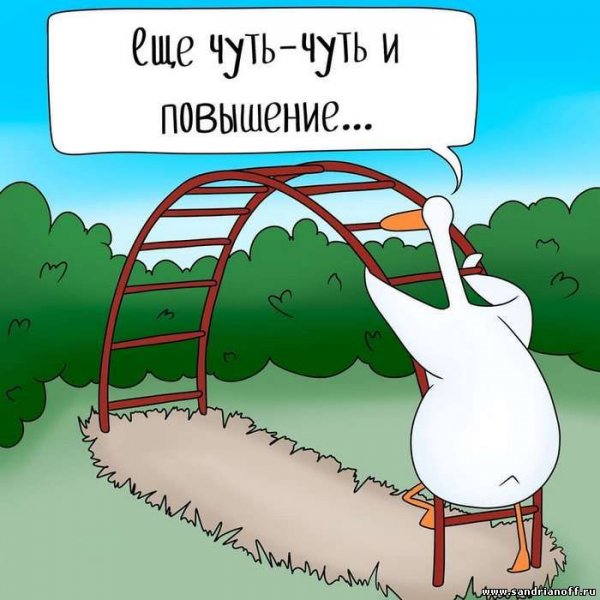 Анекдот про инвестиции