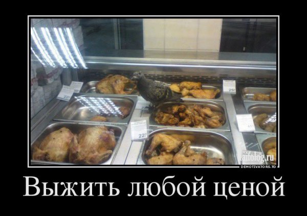 Смешные таблички на рынке