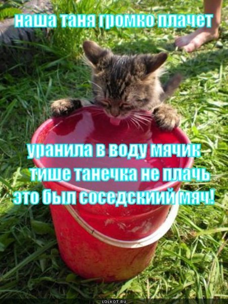 Наша Таня приколы